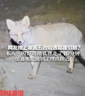 山西有男子晚上来爬五台山。

只是男子用手机照明时才发现手机的电量不足，而且随身