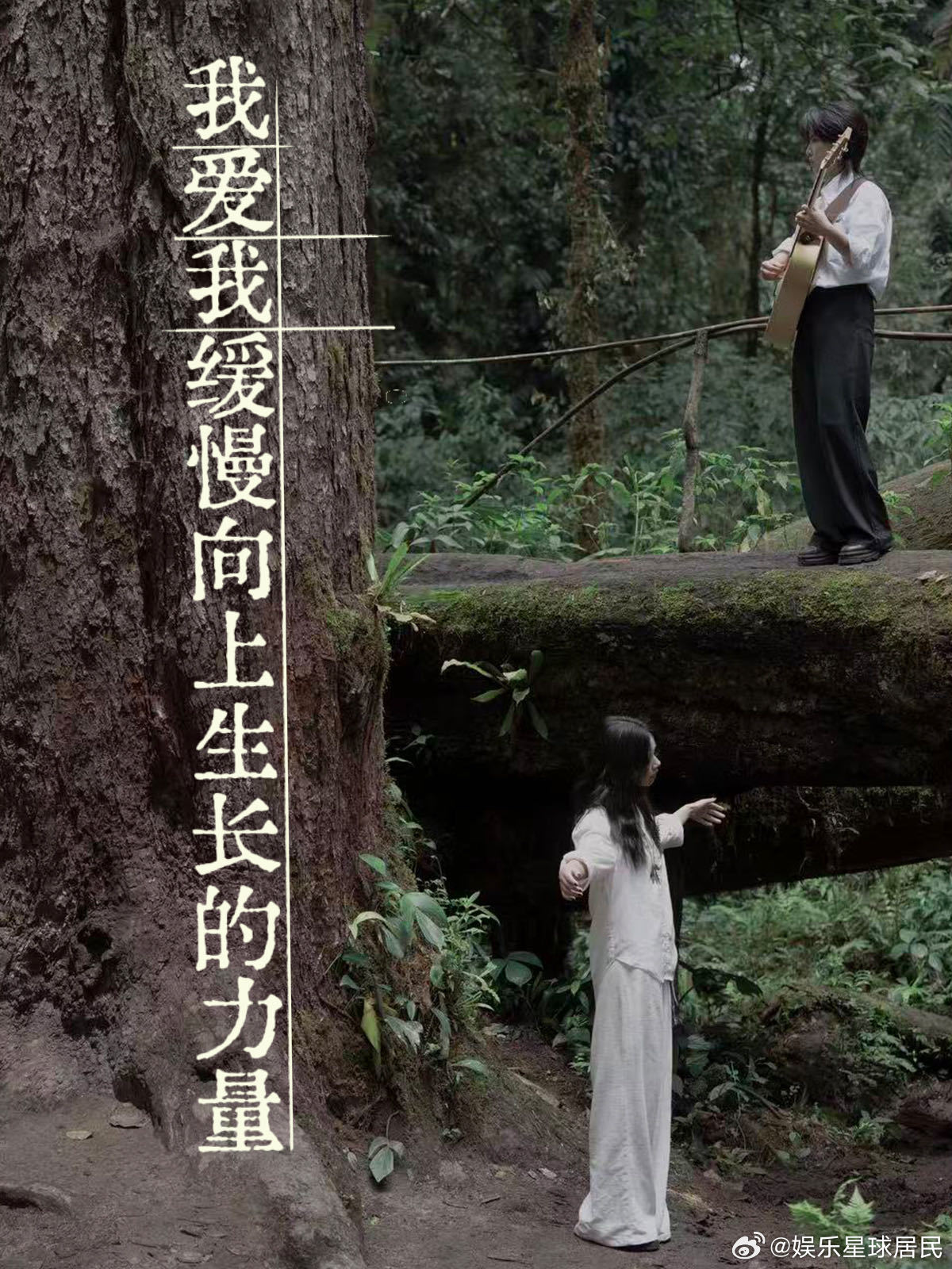 房东的猫新专辑不擅生长的树房东的猫新歌请对我讲我爱我缓慢向上生长的力量 反复听房