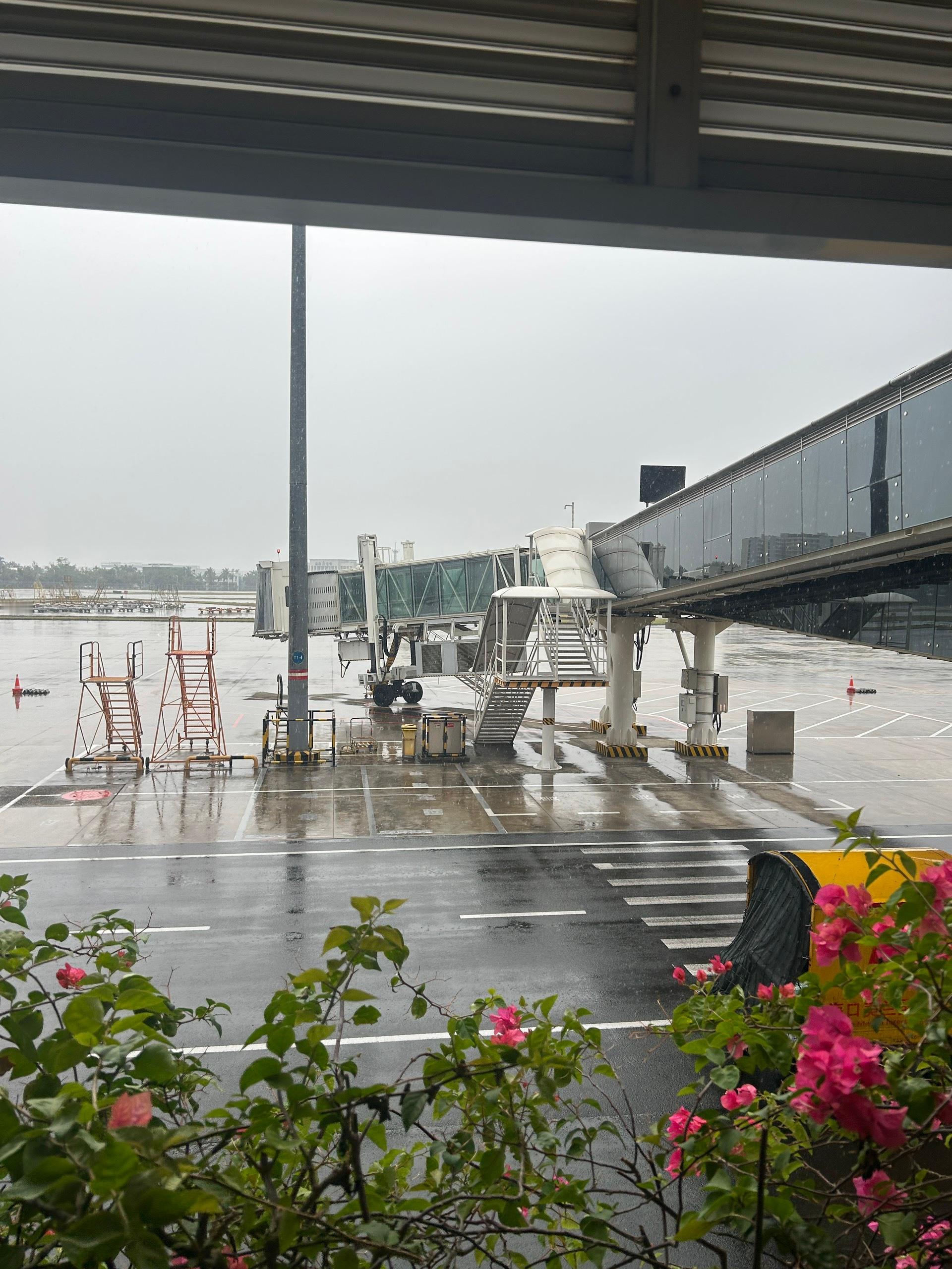 五一航班大面积取消今天听过最搞笑的一句话：坐不了飞机 坐生鲜冷链出去吧