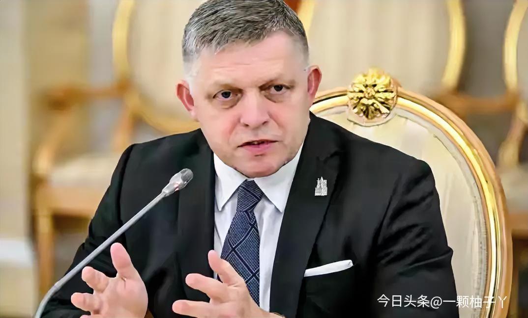 斯洛伐克总理菲佐最近在直播里直接开怼，他隔空炮轰冯德莱恩，直言对方要么无能，要么