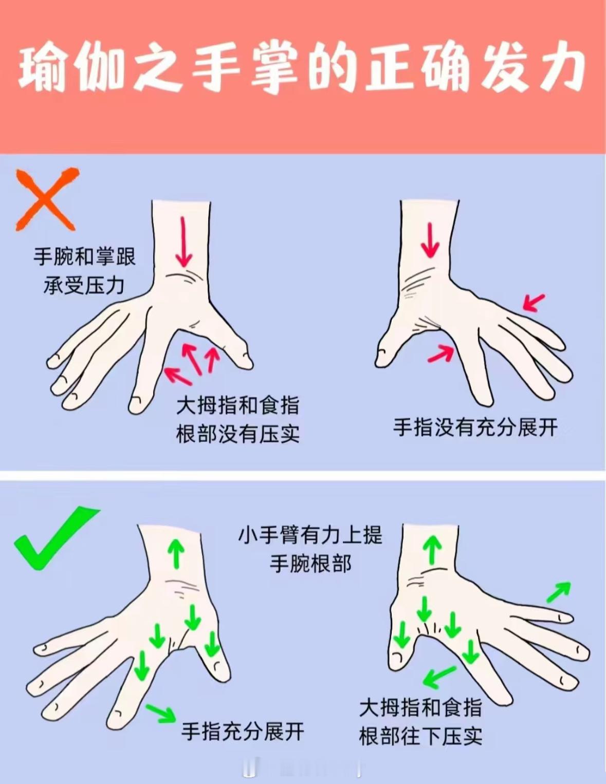 瑜伽你必须知道的知识手掌如何正确发力小手臂有力上提手腕根部手指充分展开大拇指和食