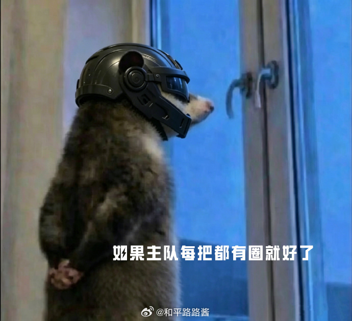 【2026PEL夏季赛】负鼠表情包活动 鼠鼠我啊来看PEL咯PEL夏季赛倒计时三