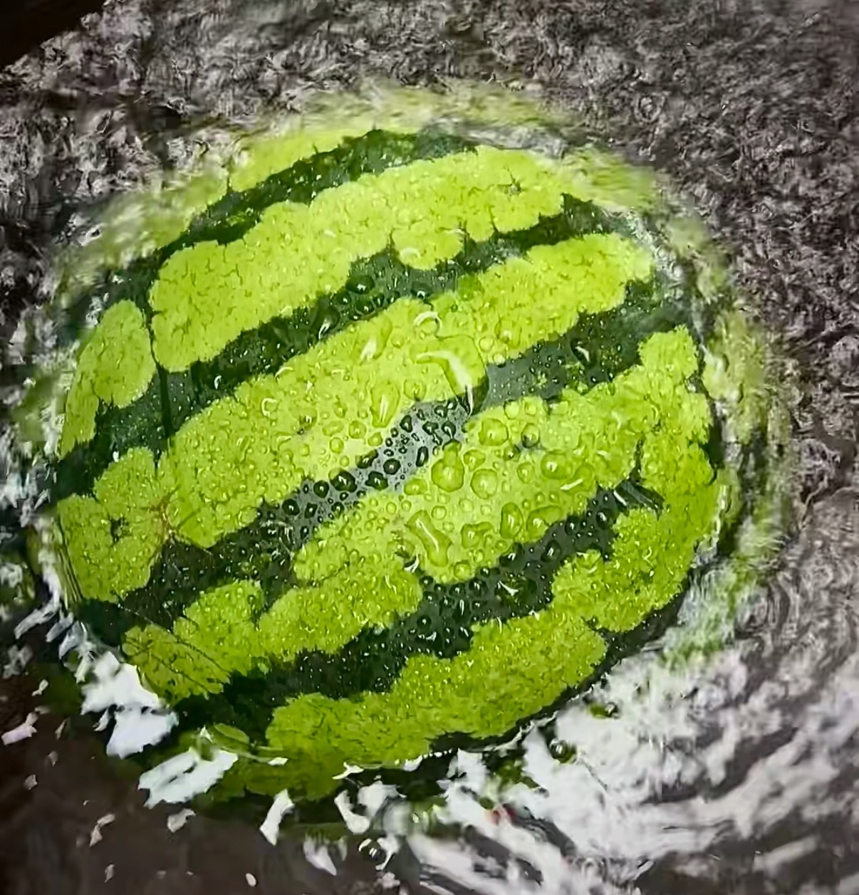 满满一卡车河南西瓜免费送劳动者千里送瓜，温情满满！采购河南西瓜助力农户，在聊城派