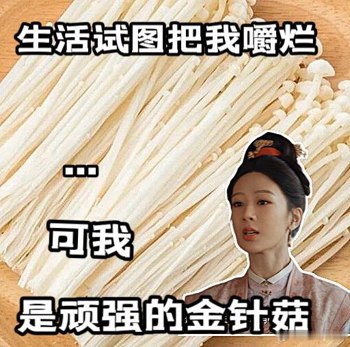 家业六合墨燃了一合又一合二刷依旧在送八爷这里落泪，外来黑田家野心勃勃觊觎徽州墨业