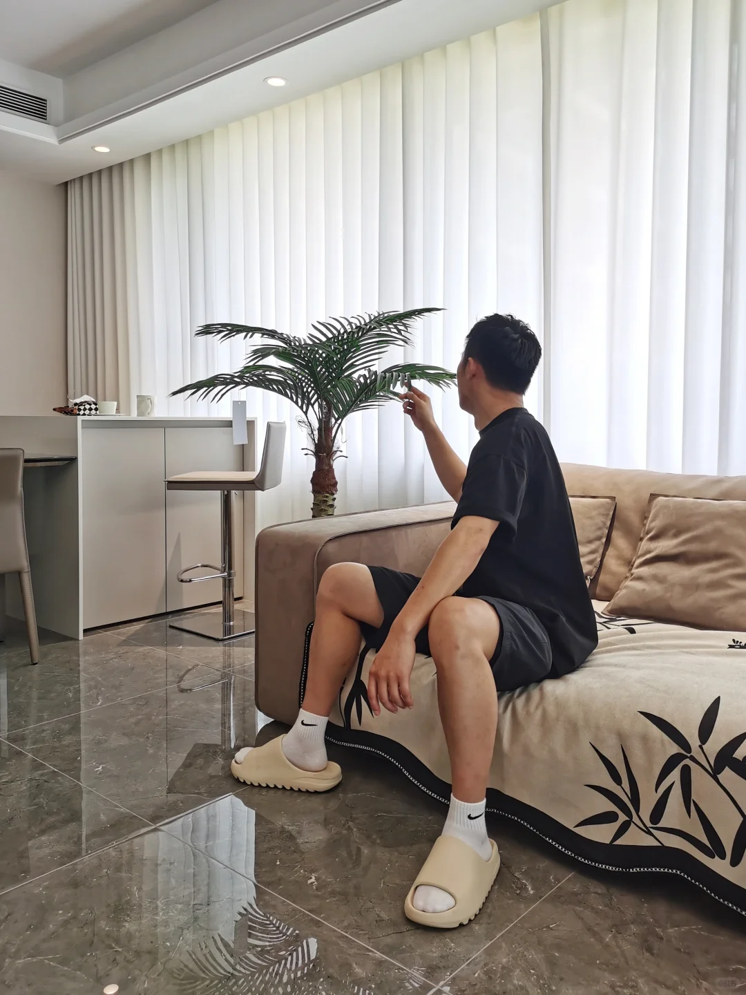 🙈你猜这颗针葵是真是假？