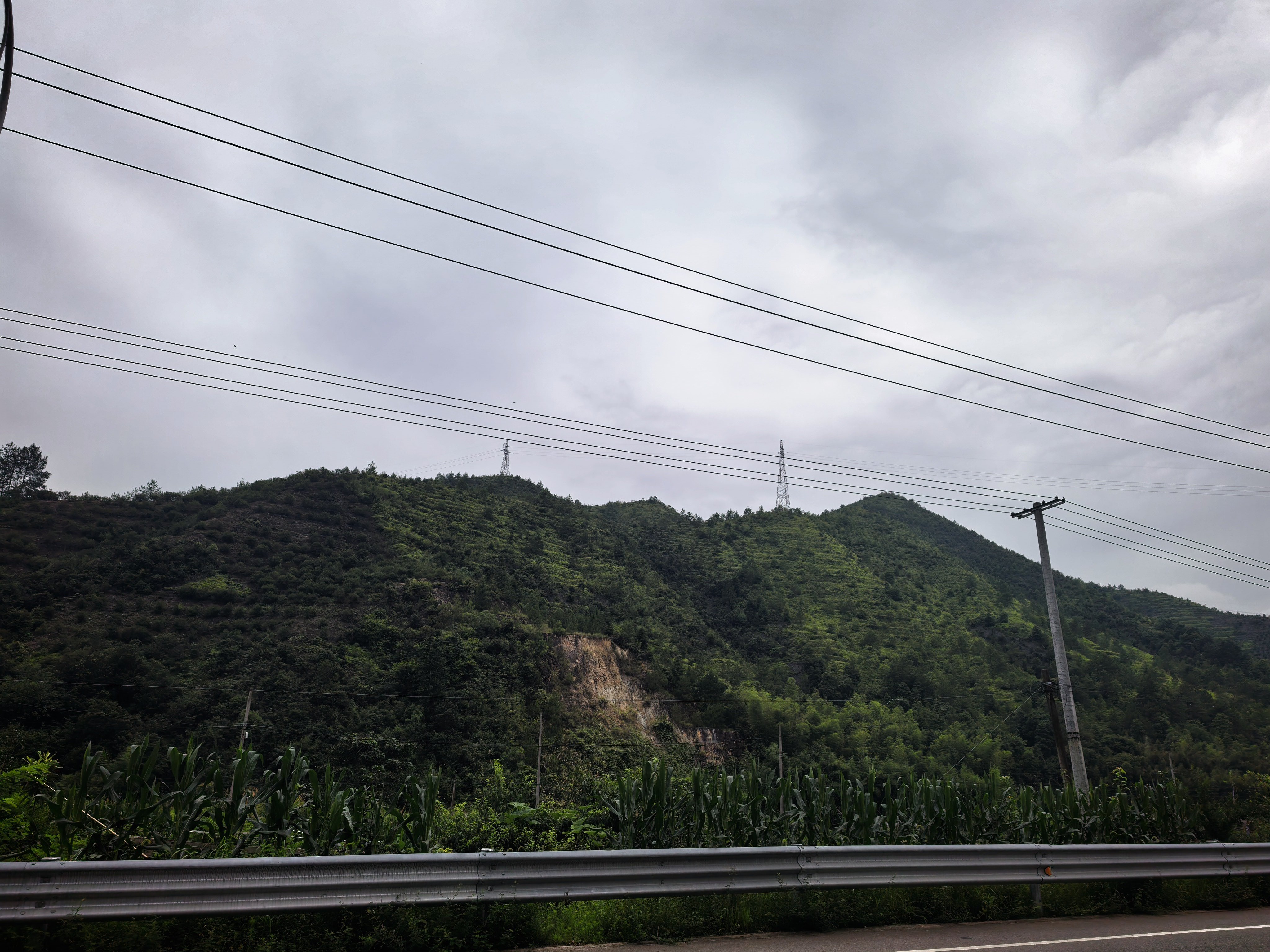 进山寻山野清欢，趁着阴天骑车钻进深山，山路蜿蜒绕着层层青山，漫山遍野的绿意扑面而