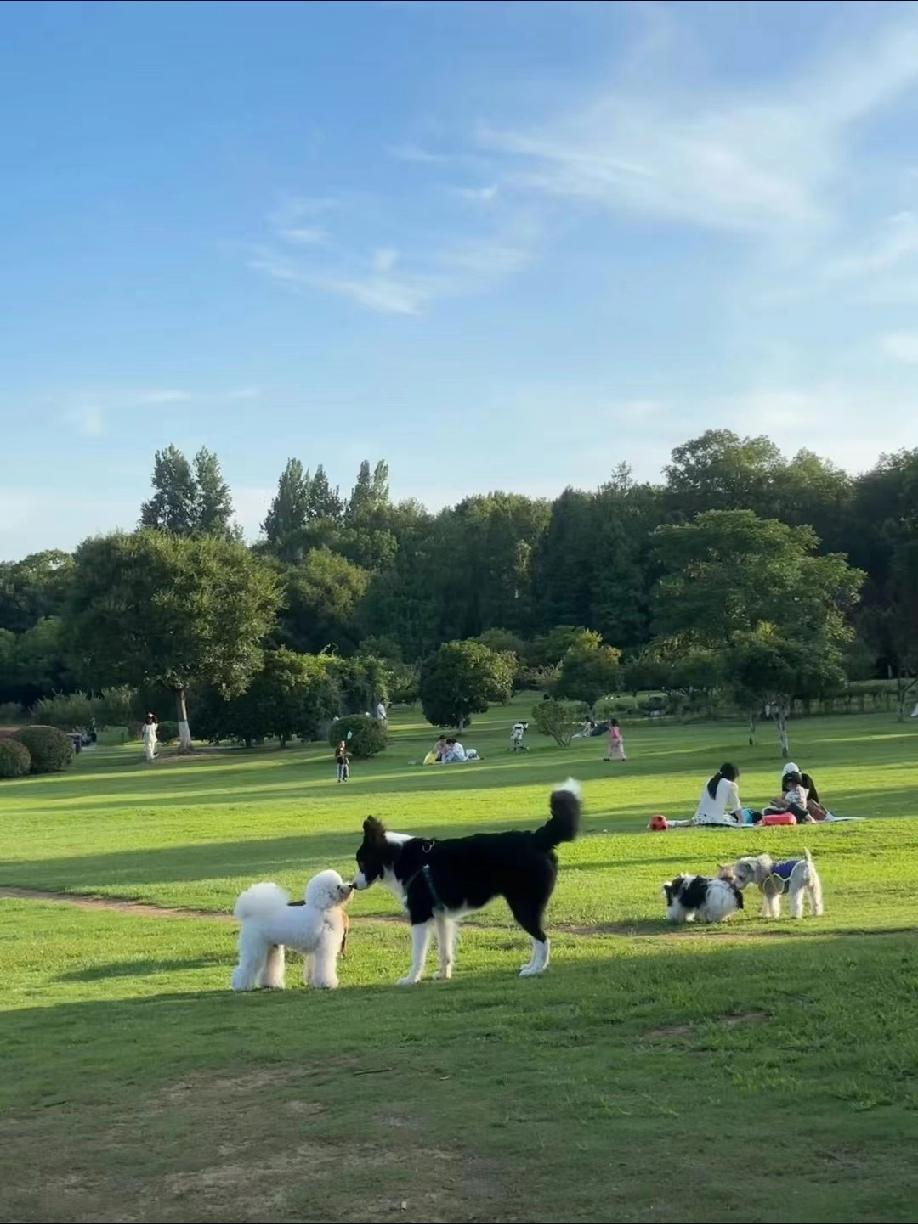真正聪明的省钱，是不被欲望牵着走
 
1. 只匹配现有生活，不脑补未来习惯
买东