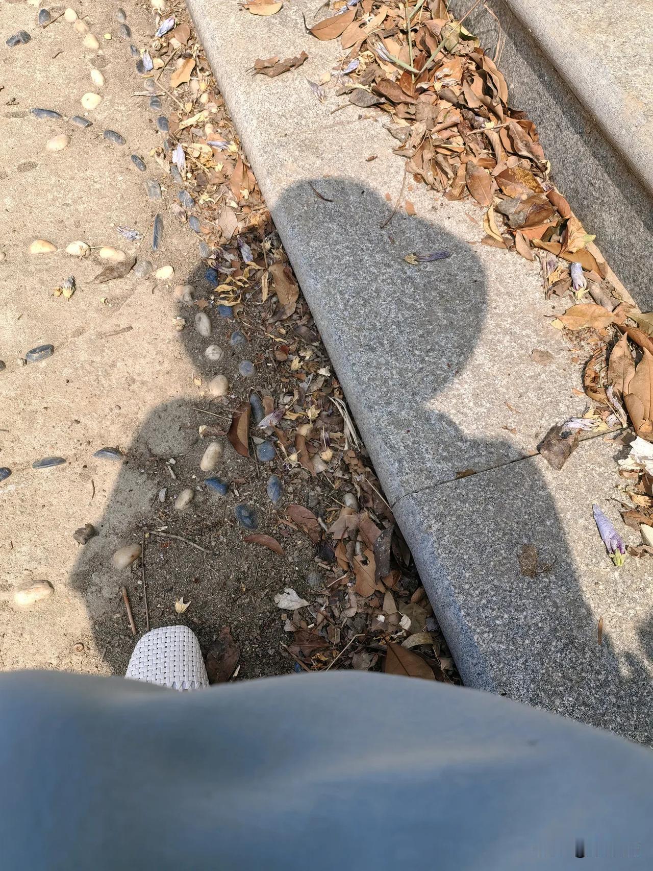 38度，顶着大太阳出去晒背也是没谁了。

我和太阳每天有个约会，从来不爽约。
