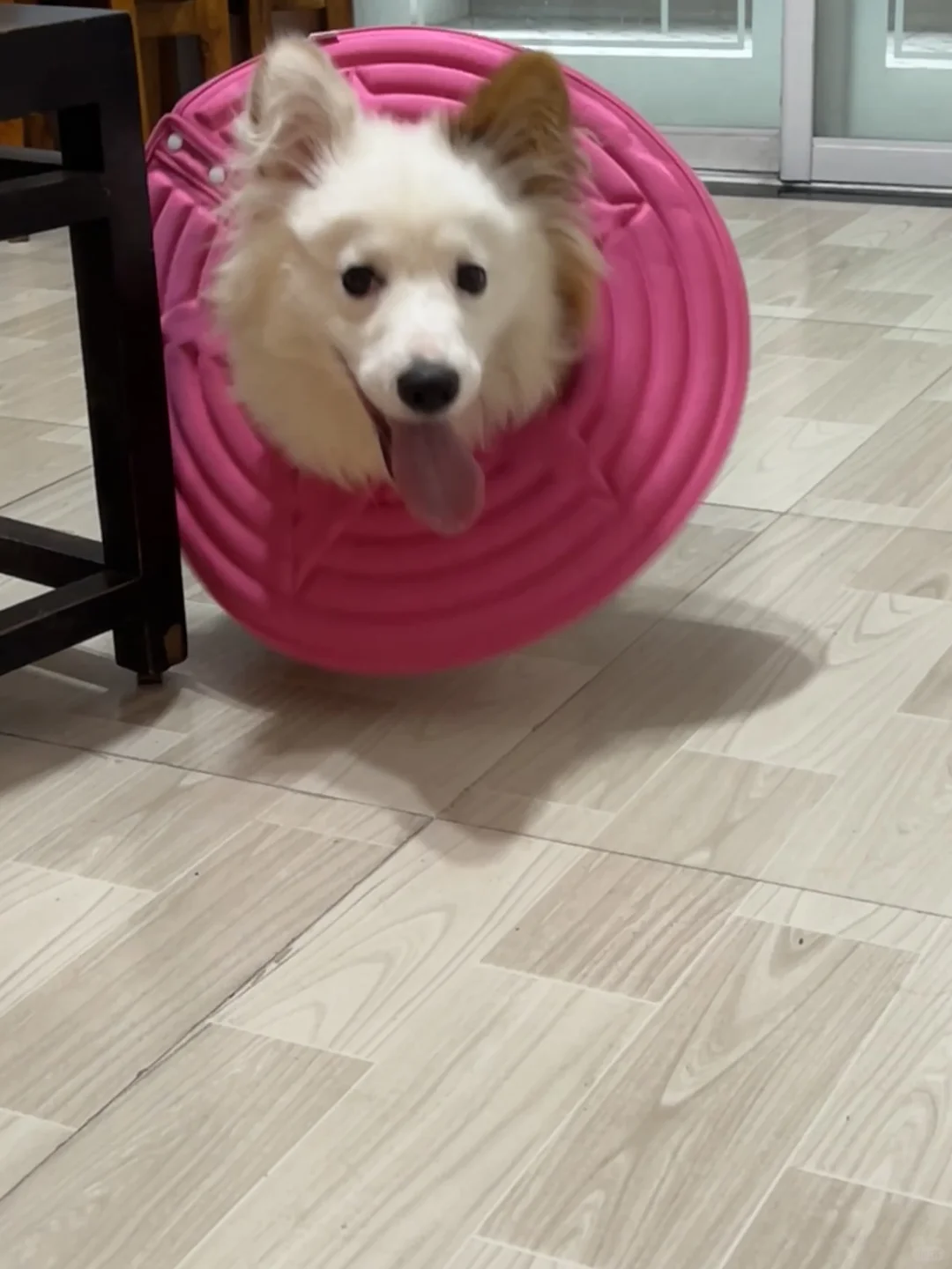脚呢？