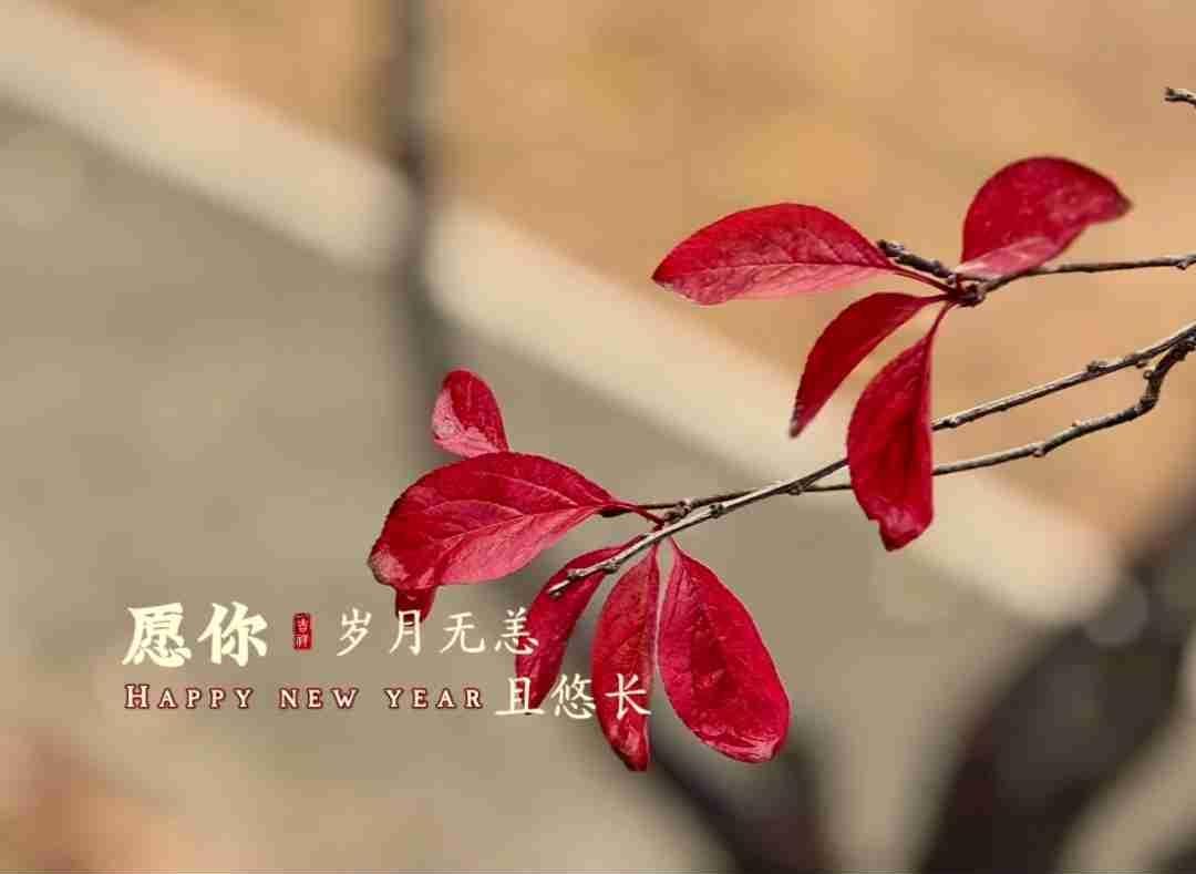 我的今日状态：😁轻松愉快
我这里的天气：☀️晴天
新的一年，新的开始，希望新的