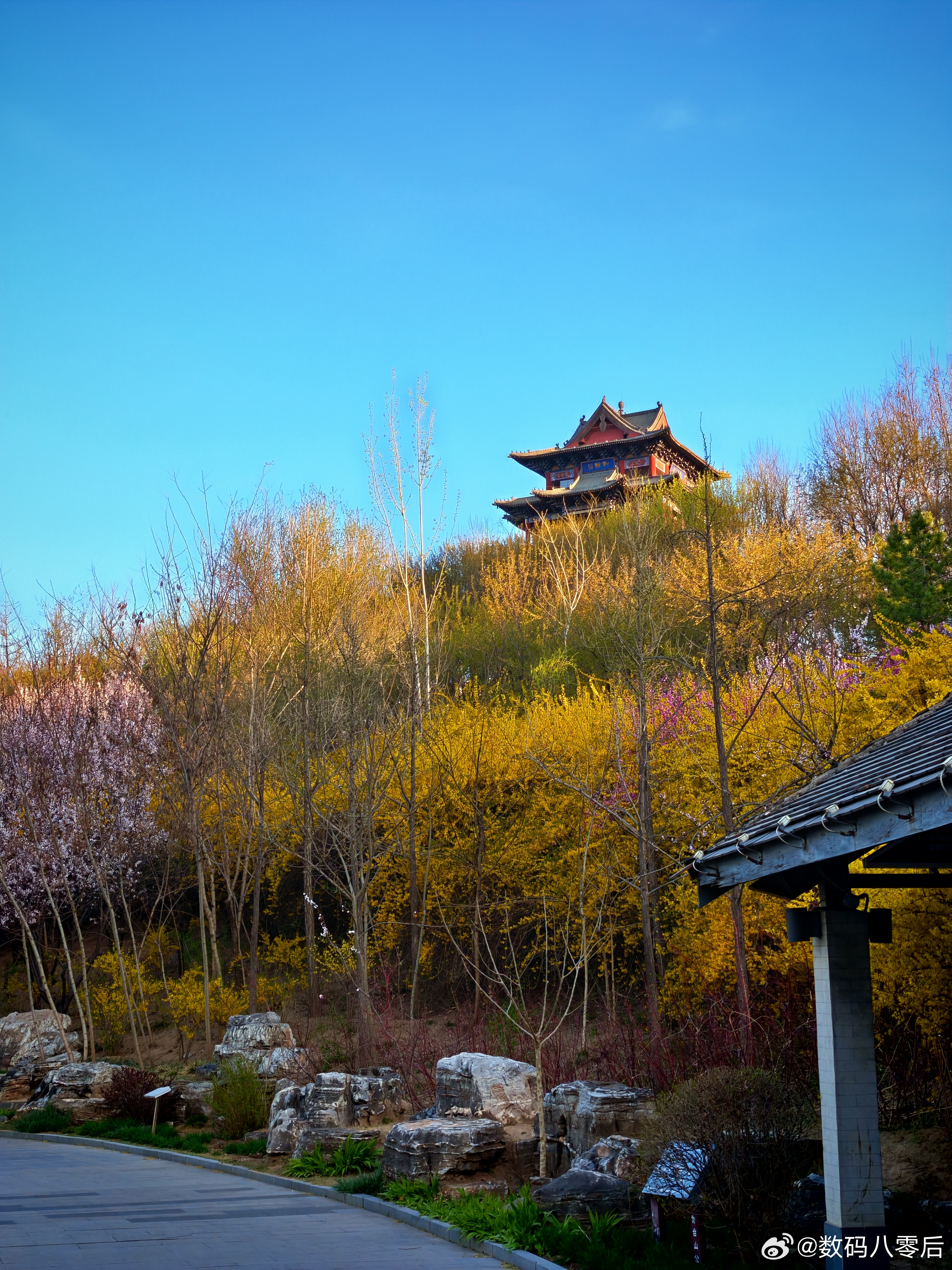 兄弟们，早上好！清晨的空气真新鲜啊！