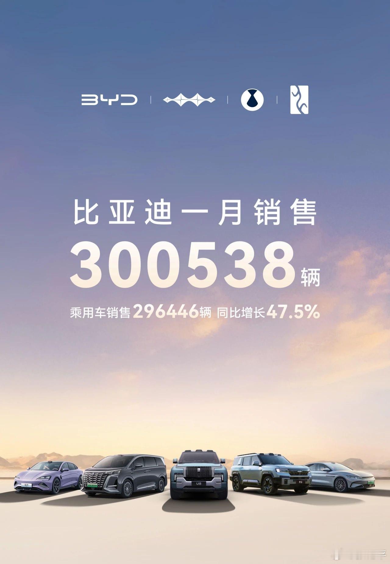 比亚迪1月的整体销量超过30万，这么看来，依然是稳稳的中国销冠。其中除了王朝网和