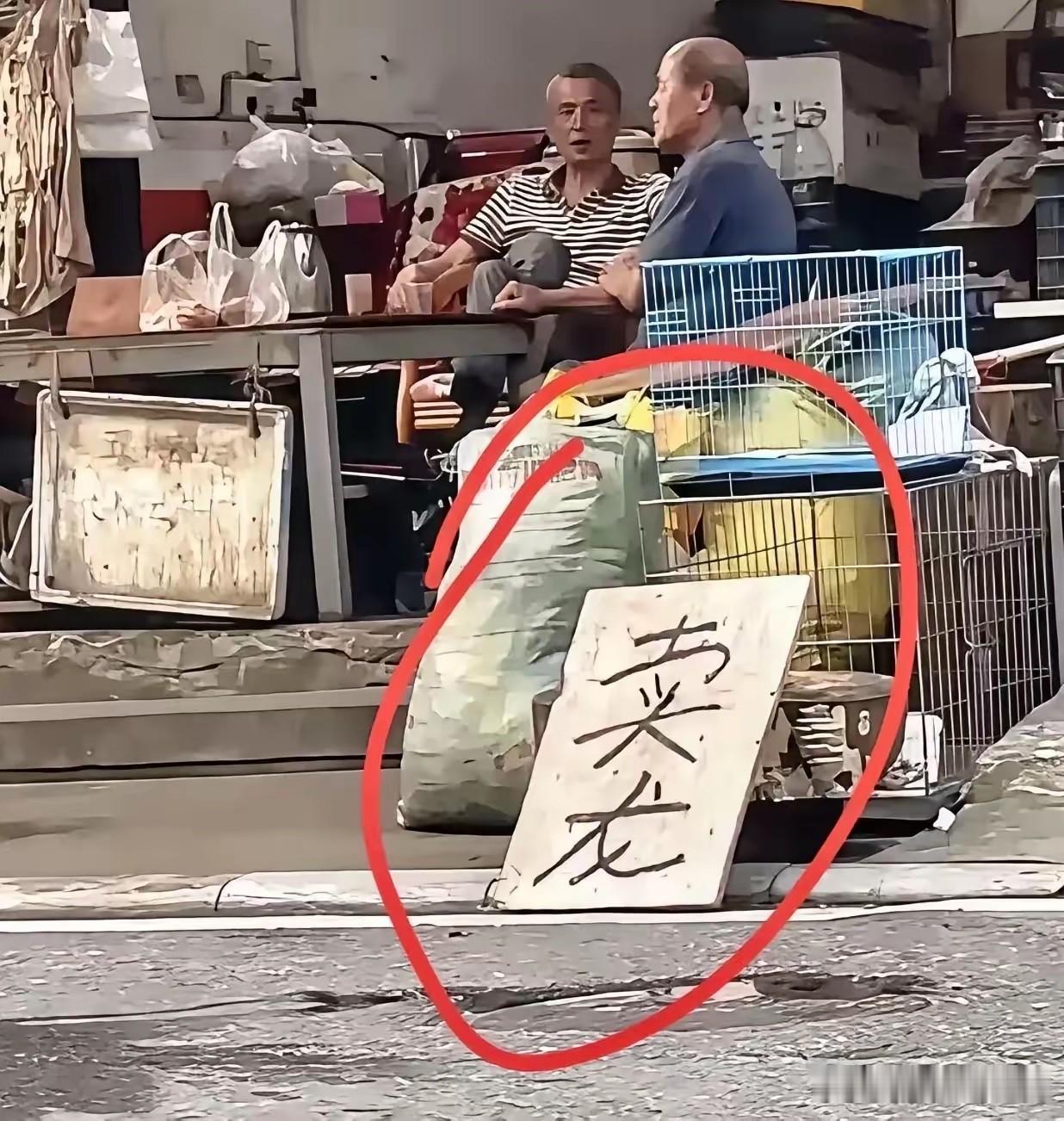 那么，这位老板到底卖什么呢？