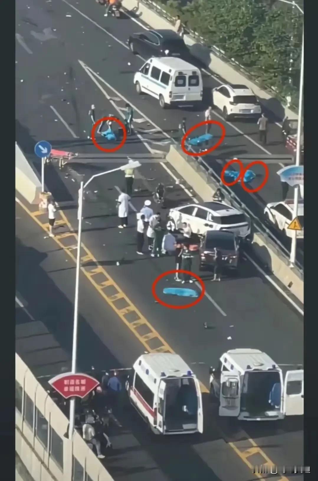 说了多少遍，电鸡不要走机动车道，我们不禁反思一下这次株洲大桥事故，非机动车电鸡走