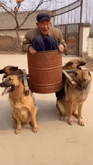 四驱战车，
豪放不羁！
大爷终于实现了有车梦，
终于实现了当将军的理想！
四驱车