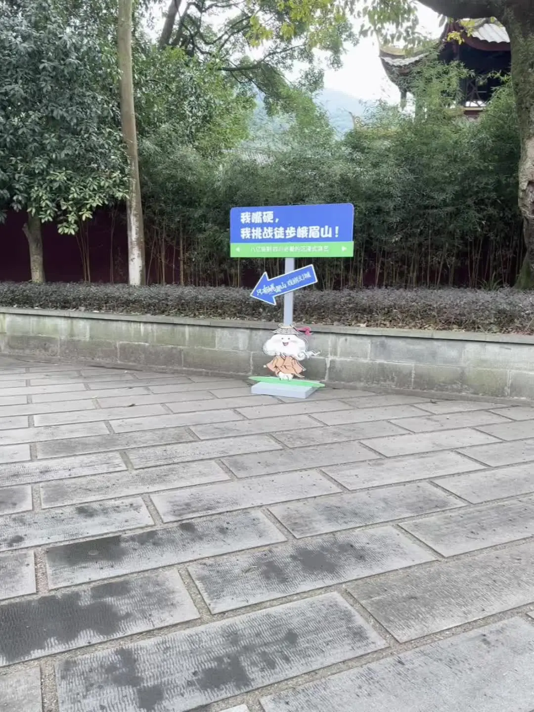 她留给你是背影