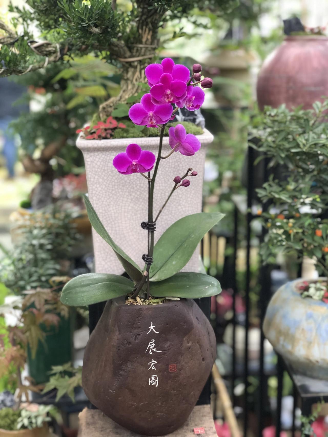 #2023年度创作挑战# 生活总有不如人意的地方，面对挫折，怀疑它，接受它，挑战