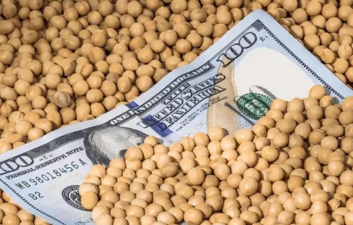 江苏泰州港口，6.9万吨巴西大豆刚靠岸，海关却发现里面竟混进了10吨农药处理的小