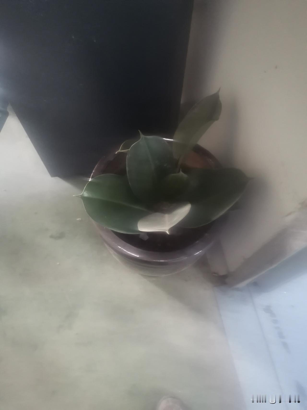 冬日生活打卡季欢乐冬季，幸福永远。