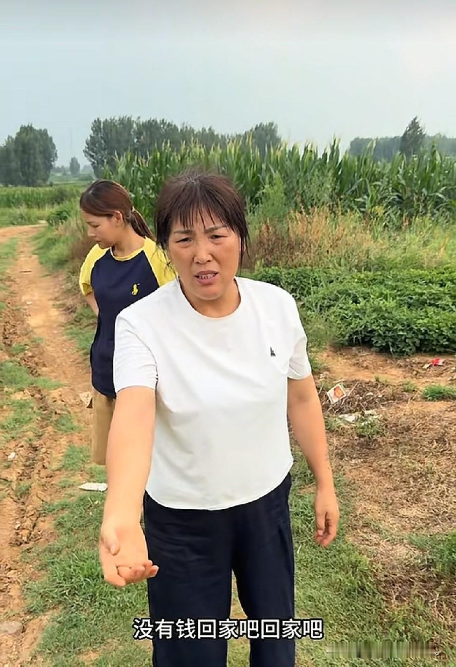 小故事！
     这刘二蛋可真会演戏。地里的花生熟了，一家人都在地里拔花生。突