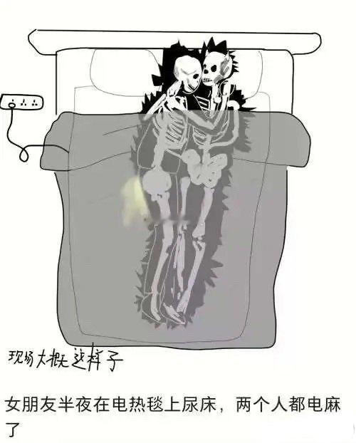 网友：女朋友半夜在电热毯上尿床，两个人都电麻了 