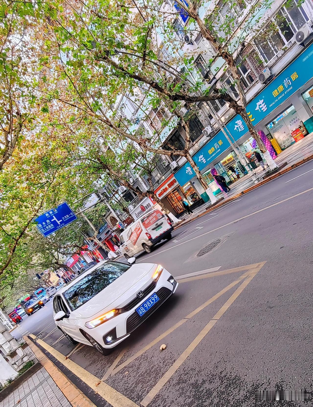 寒冷冬天，万州区太白路上行道上，一棵棵、一排排像巨伞一样的梧桐树，枝繁叶茂，多彩