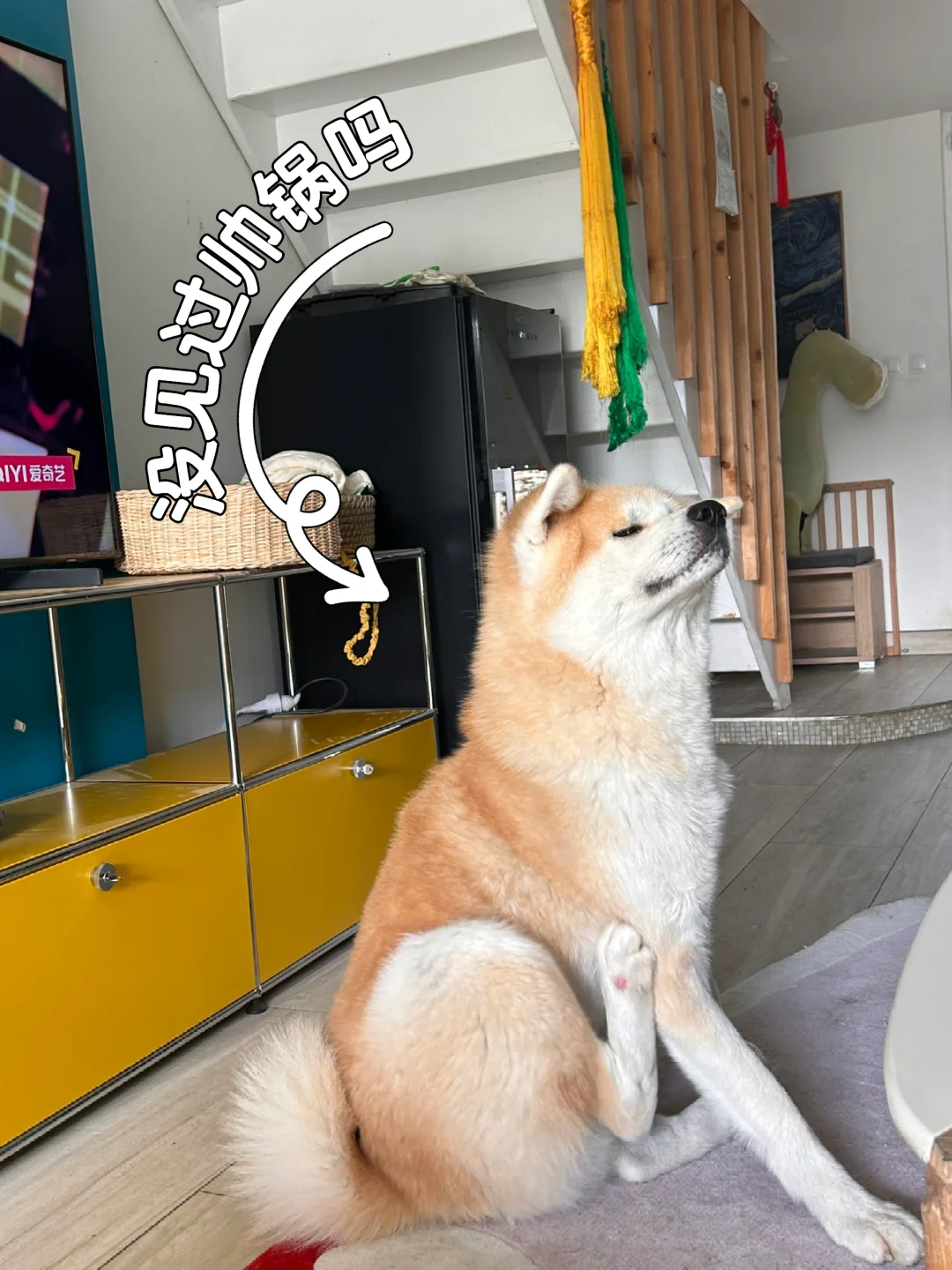 于进锅今日美图