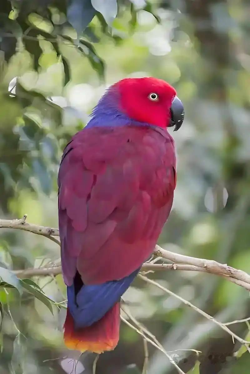 【‌半醉半醒渡日月，於世无争舒心过】‌人间清醒
闲看云起千峰静，独对平湖一盏和。