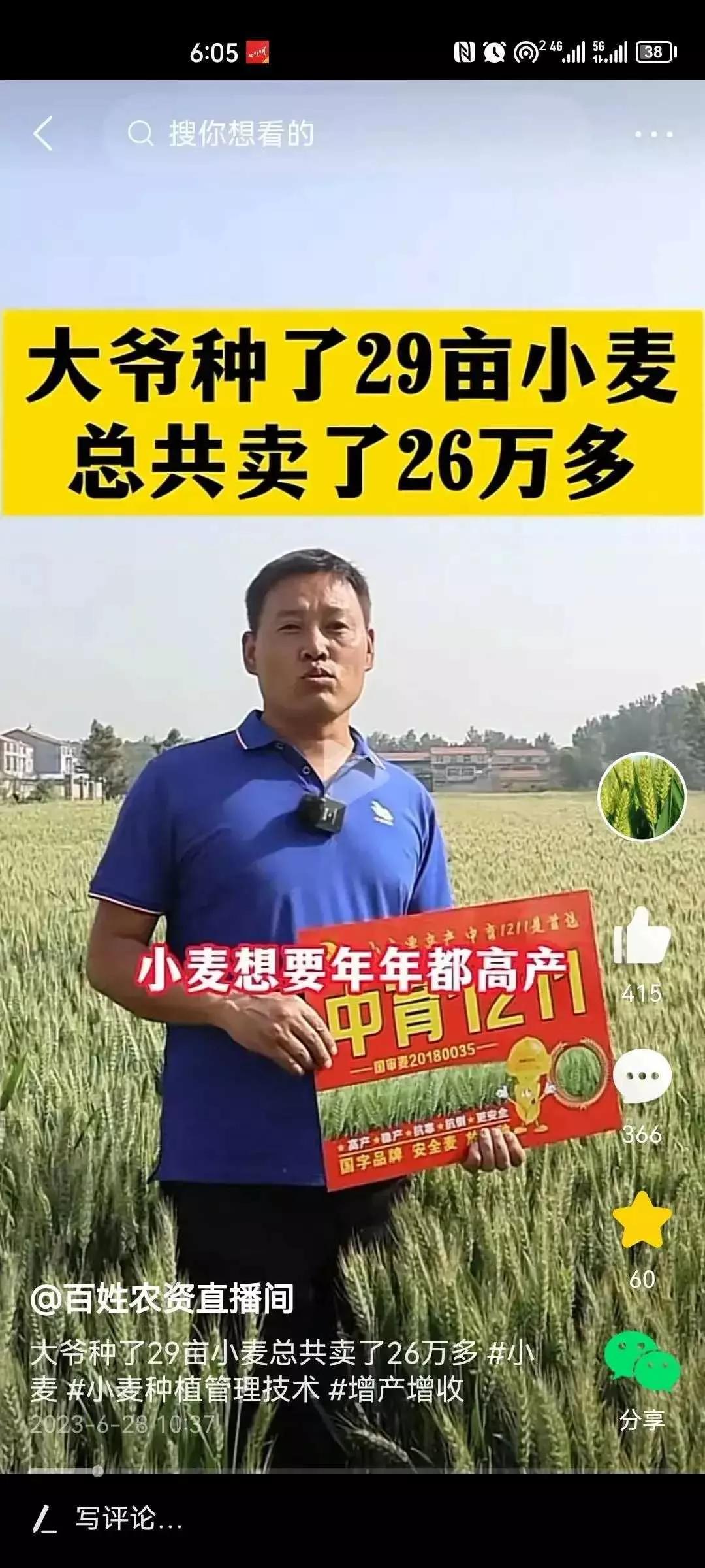 29亩小麦挣了26万，玉米每亩纯收入4000元。厉害了！想不到种小麦的收益这么高