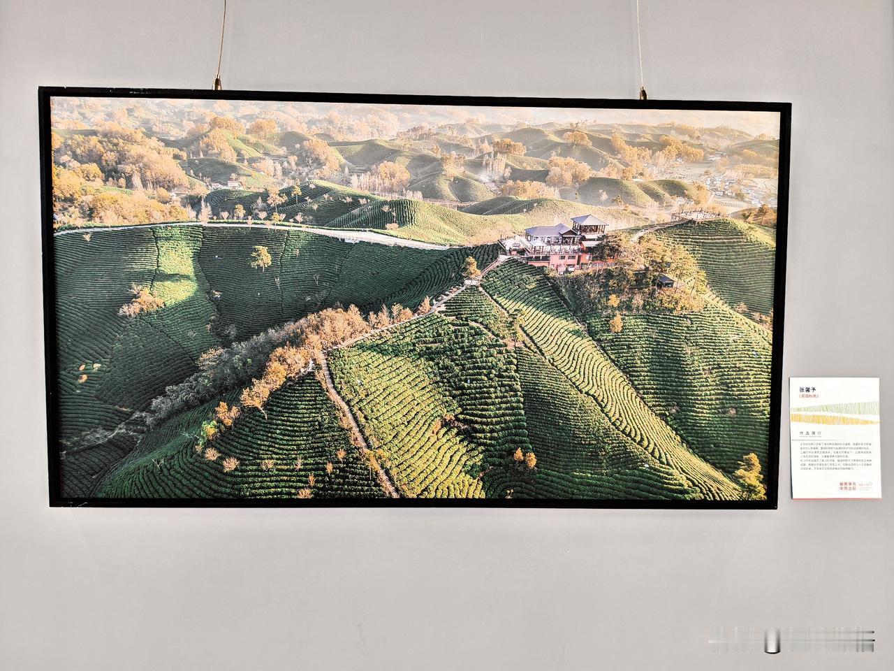“奋勇争先中原出彩”摄影大展(二）