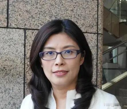 郑丽文：上任后第一件事就是收拾民进党。“我是民进党出身，我了解民进党，收拾民进党