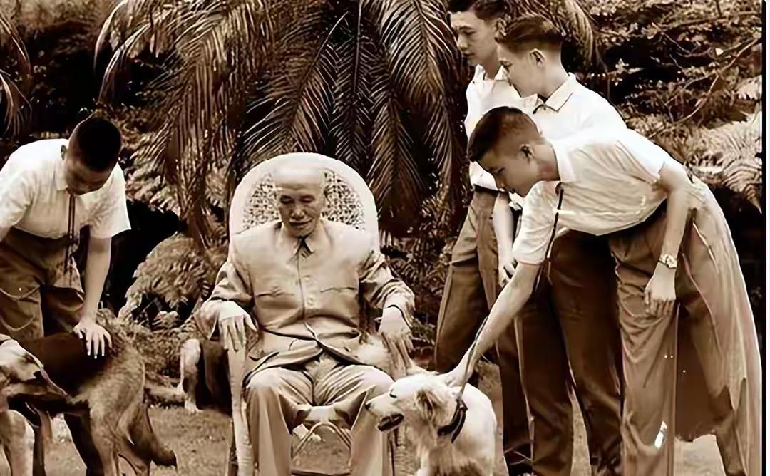 蒋介石是中华民族的罪人，坚决不能让其回到大陆。