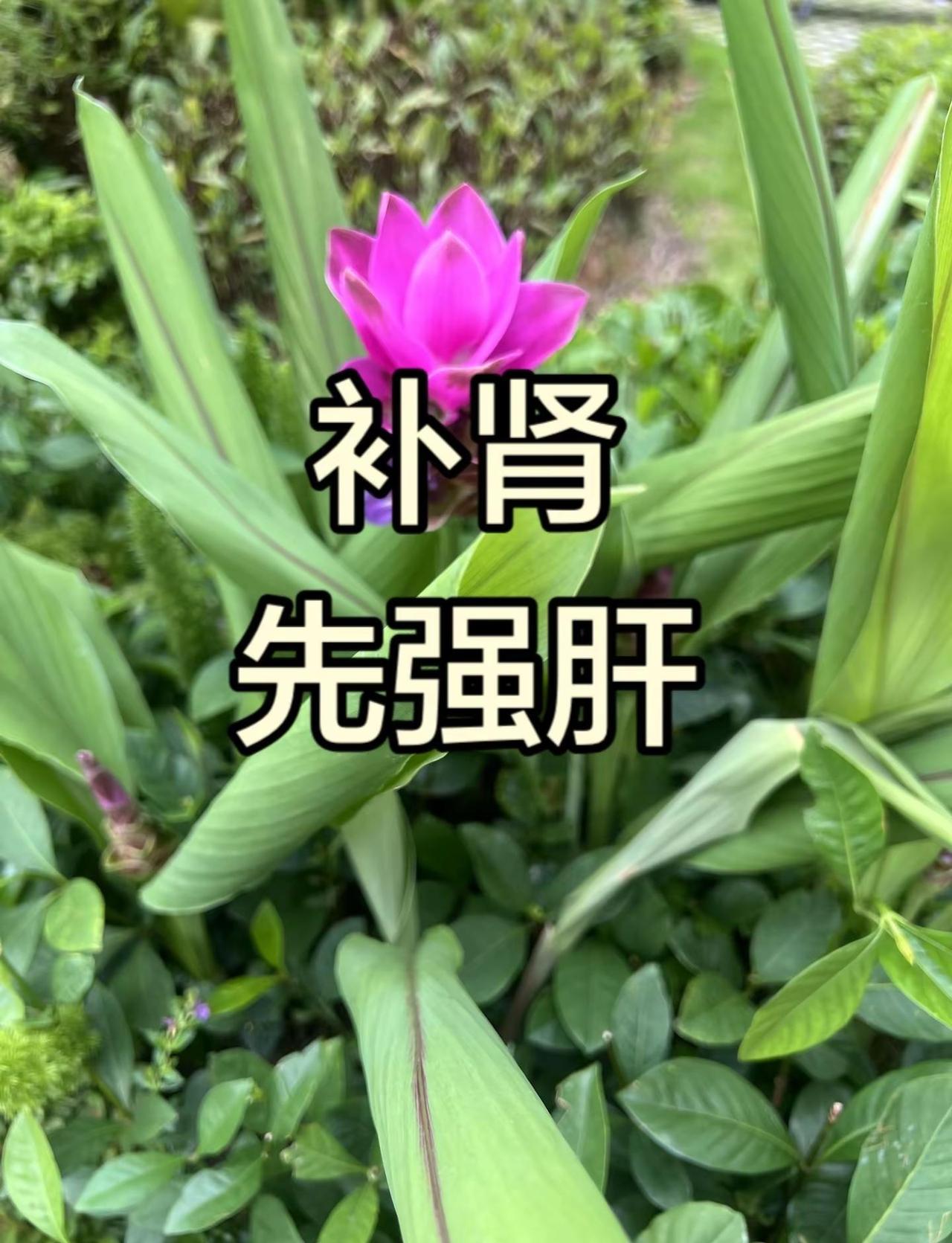 比分落后丝毫不慌！莎莎一口气连拿10分极限逆转战局，决胜赛点对手关键失误送分，五