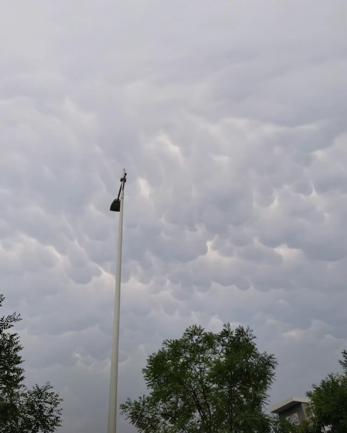 原来这种☁️是说明要下暴雨了乳状云 特大暴雨