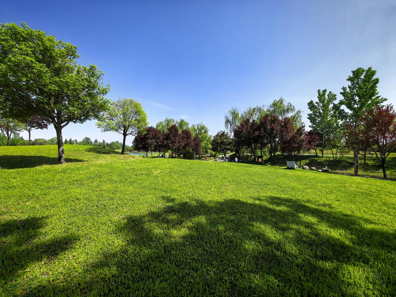 昨天还是晴空万里，公园里、河湖边、山谷间到处都是露营休闲的游客，结果今天直接变成