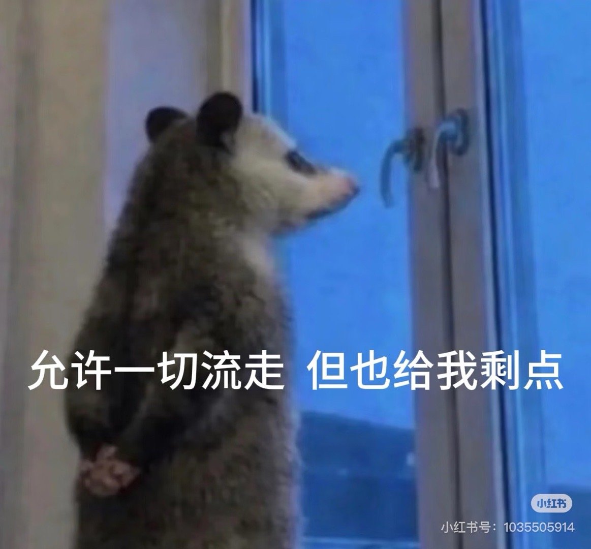 分享图片 