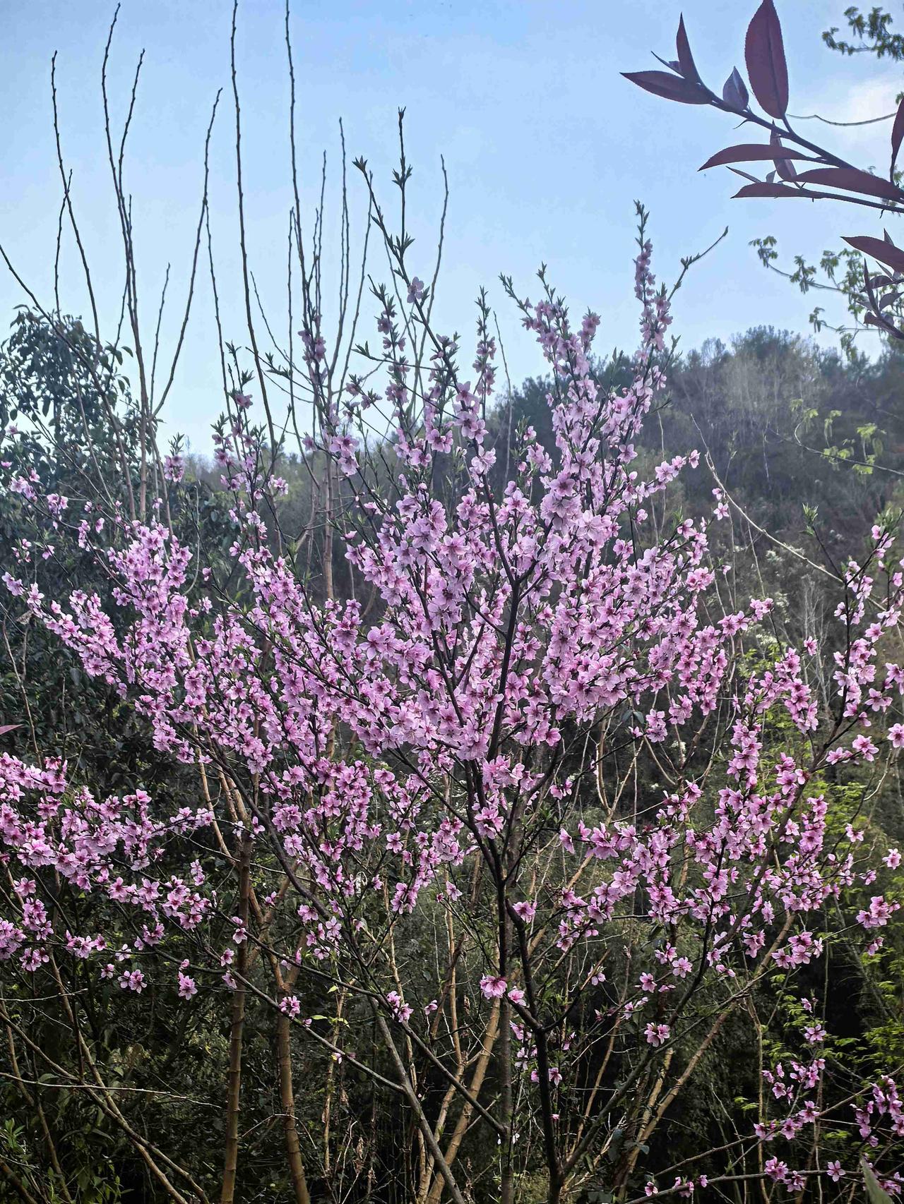 我的今日状态：😁轻松愉快
我这里的天气：☀️晴天