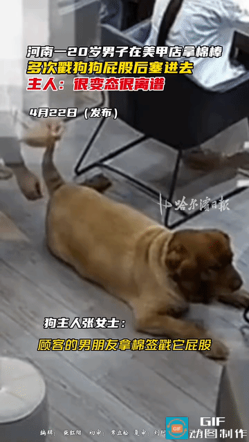 这年头真是林子大了什么鸟都有。河南南阳一20岁小伙陪女友做美甲，趁店主不备拿起棉