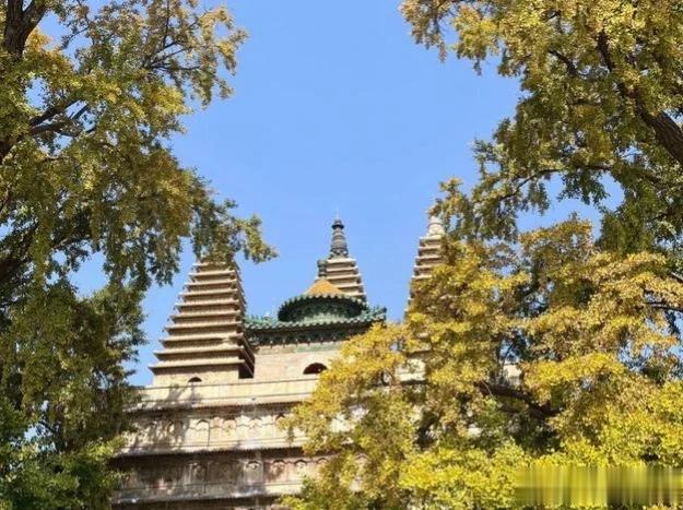 北京石刻艺术博物馆，五塔寺银杏将进入最佳观赏期。 五塔寺（石刻艺术博物馆）的秋天