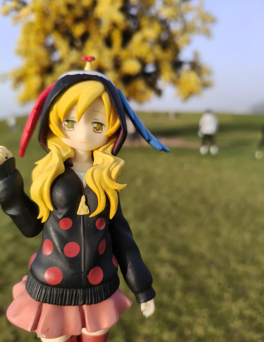 麻美小姐
魔法少女小圆 魔圆