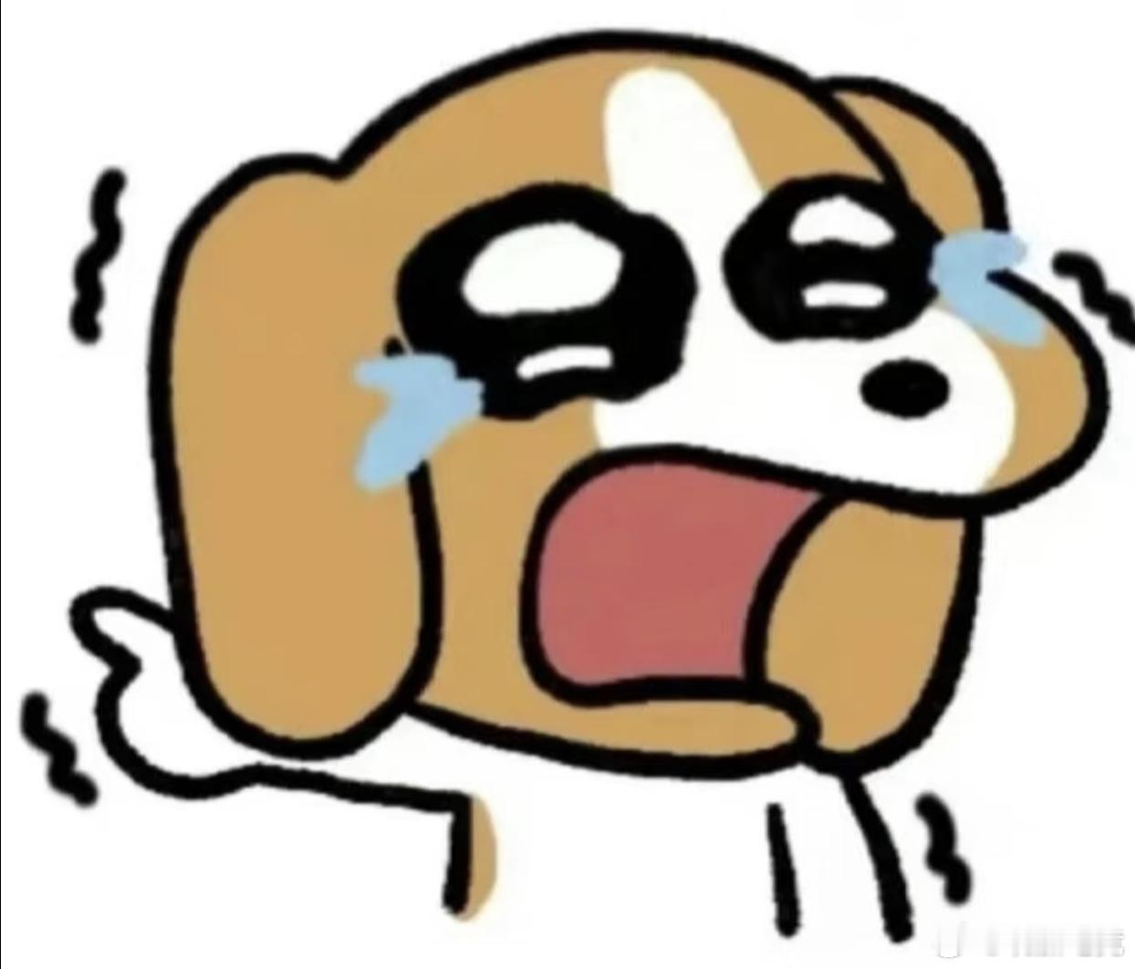 玩加夜话 哪位选手离开赛场最让你觉得遗憾？2026lpl2026lck