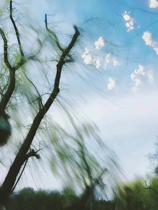 春，向来能给人带来愉悦之感，引得文人墨客挥毫泼墨，留下传世佳作。
两首诗恰似春日