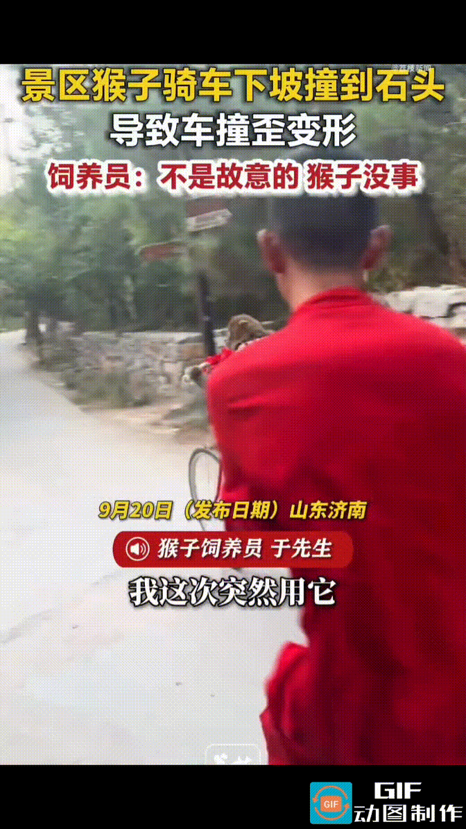 猴子骑着自行车从坡上冲下来，饲养员举着手机追在后面拍，原本以为，凭这段高难度的动