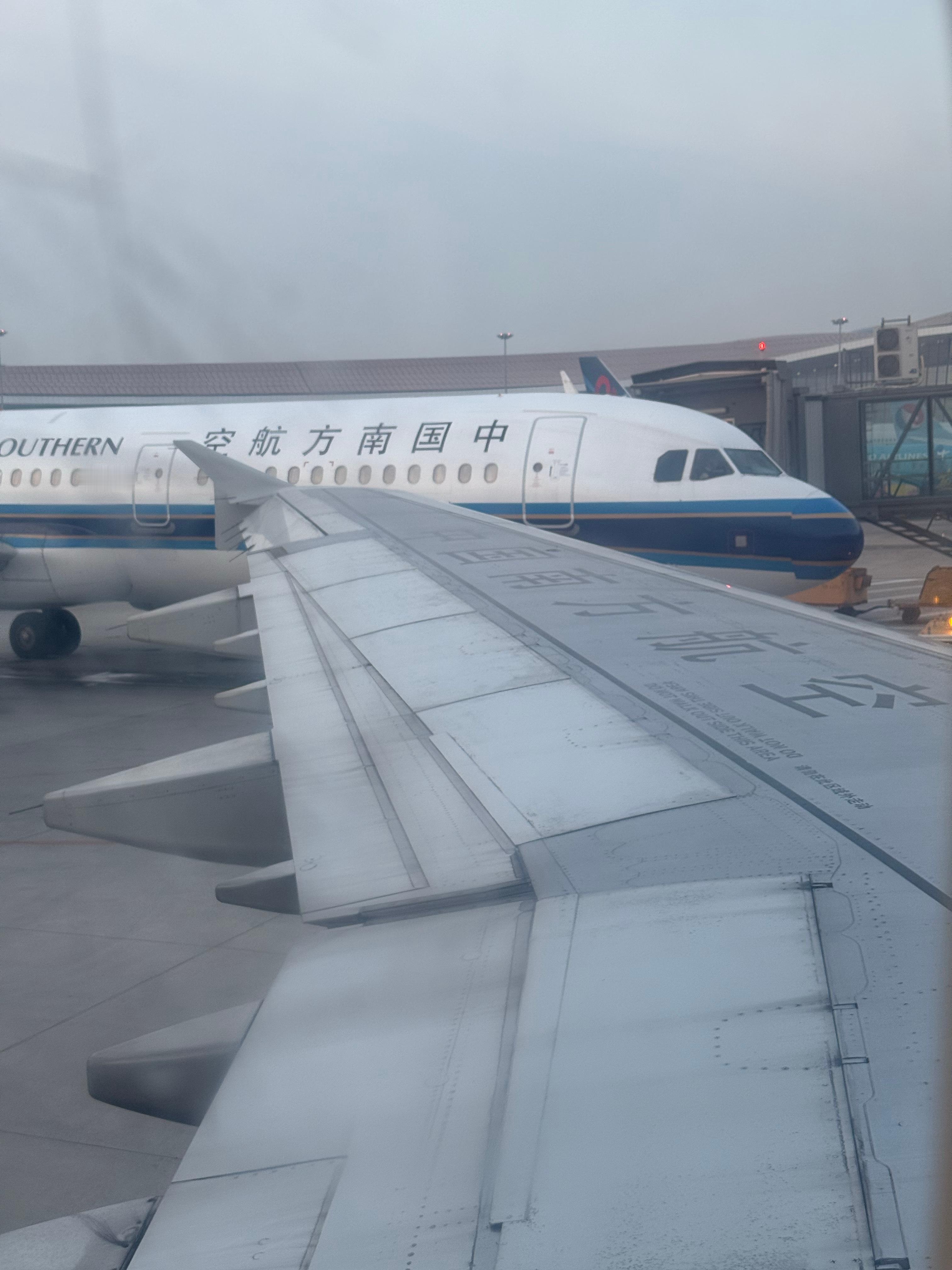 早上好，铁铁们都起来上班了吗？西西出街