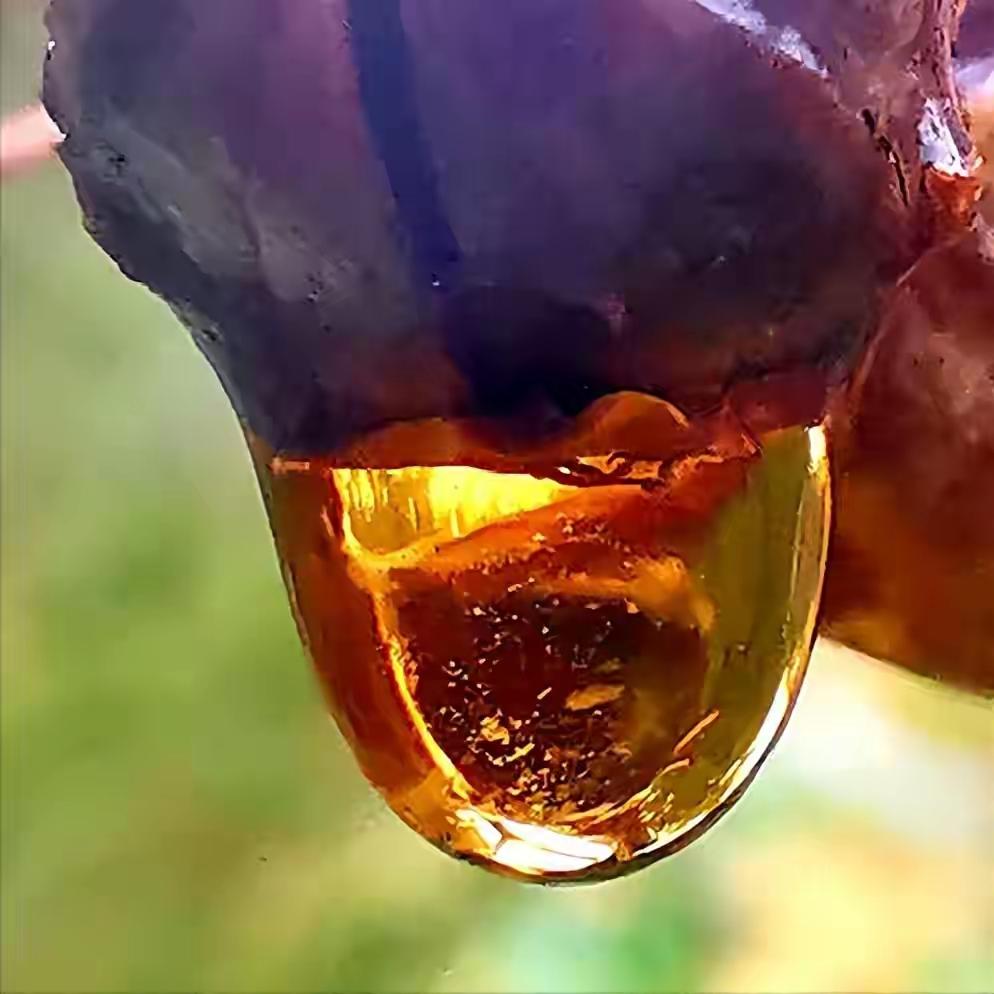 快走再次被关注！医生发现：走得越多，脑梗患者血管或越干净快走再次被关注！医生发现