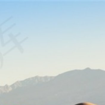 养养 适度留白，人生自愈生活不必填得太满，人生需要适当留白。很多人过得疲惫，是因