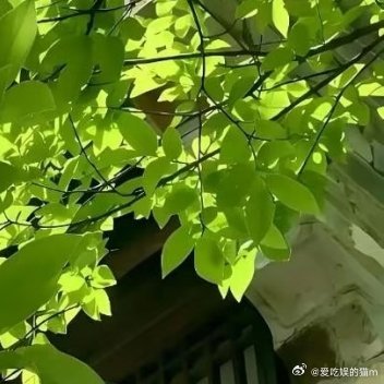 人生最好的底牌是真诚。厚道不吃亏，坦荡无牵绊，坚守本心稳步前行，所有努力终有回馈