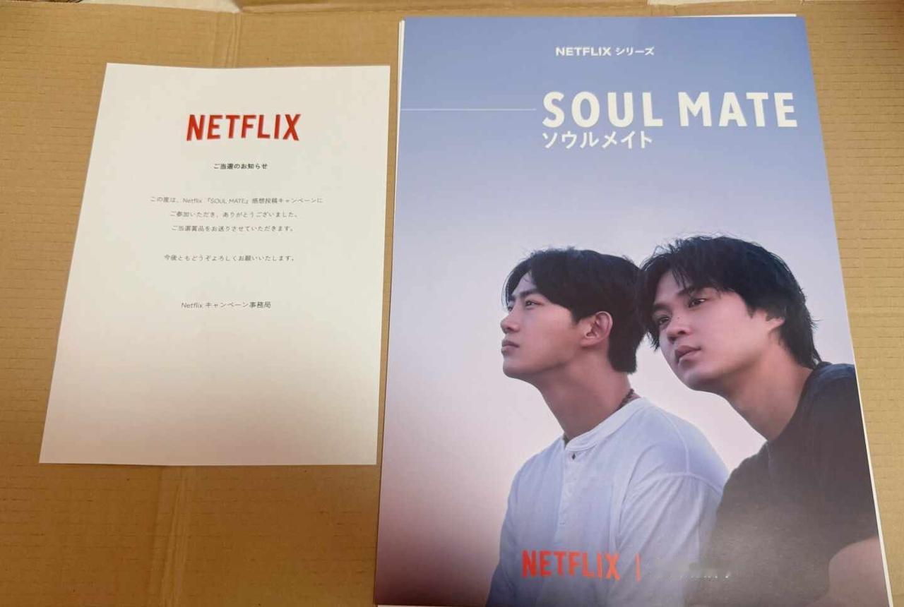 感谢Soul Mate，感谢Netflix
之前参加Soul Mate感想投稿中
