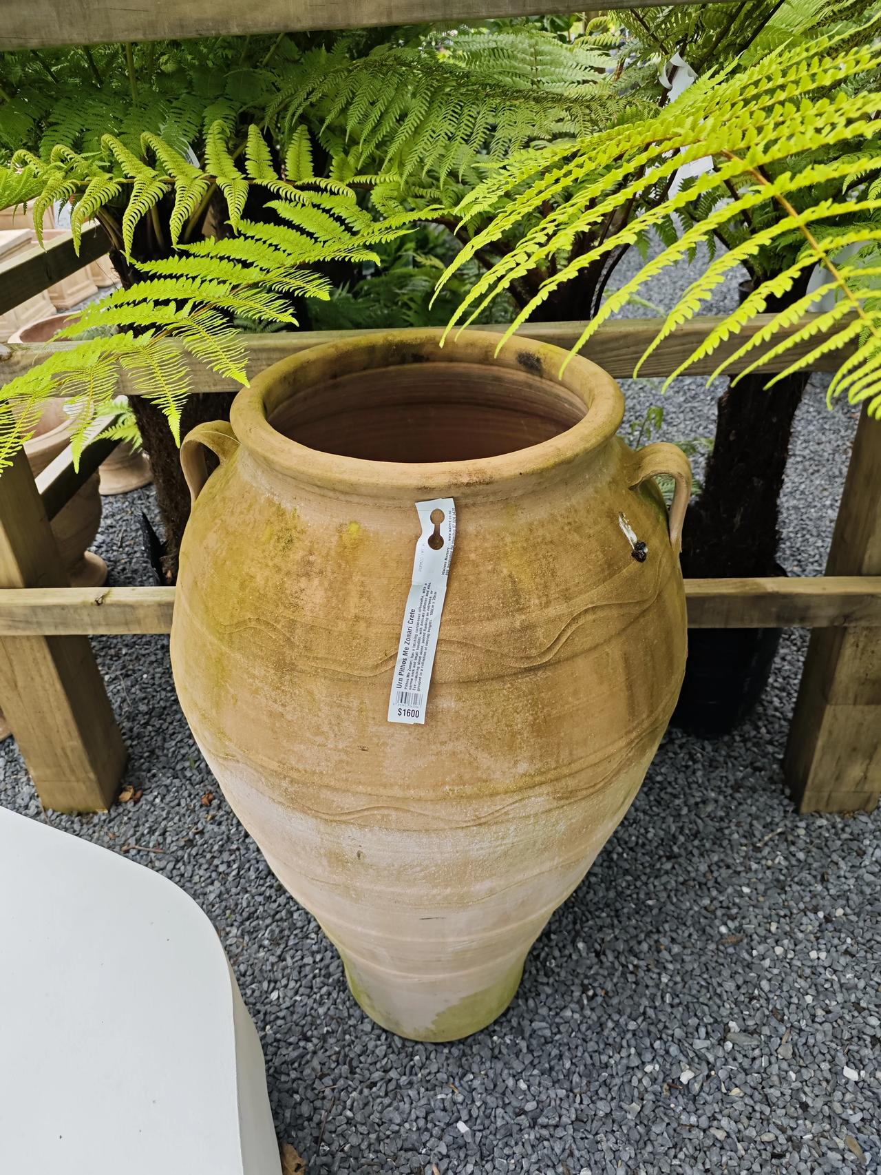 你能相信吗？

从陶波湖回来的路上，女儿说路过一处园艺场，进去看看能不能买盆花…