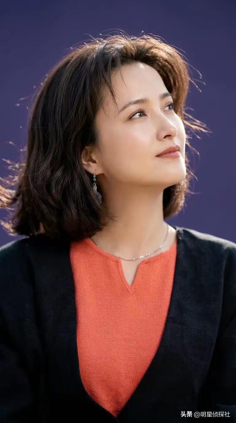 何晴
何晴的颜值巅峰在30岁左右。她20岁刚出道时还没这么好看